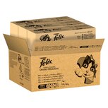 Felix as good as it looks 120 pouches 2025